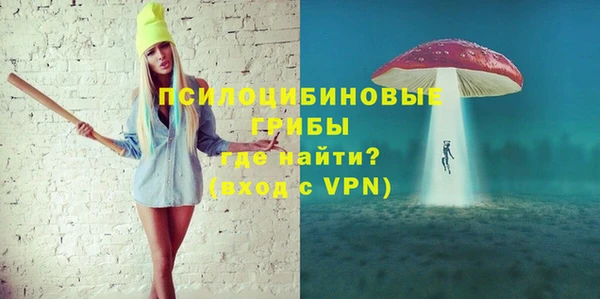 ГАЛЛЮЦИНОГЕННЫЕ ГРИБЫ Снежинск