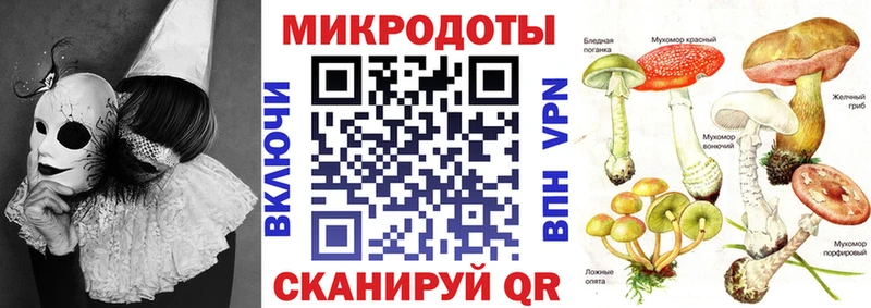 Галлюциногенные грибы Psilocybe Верея