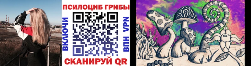 Псилоцибиновые грибы Cubensis  Верея 